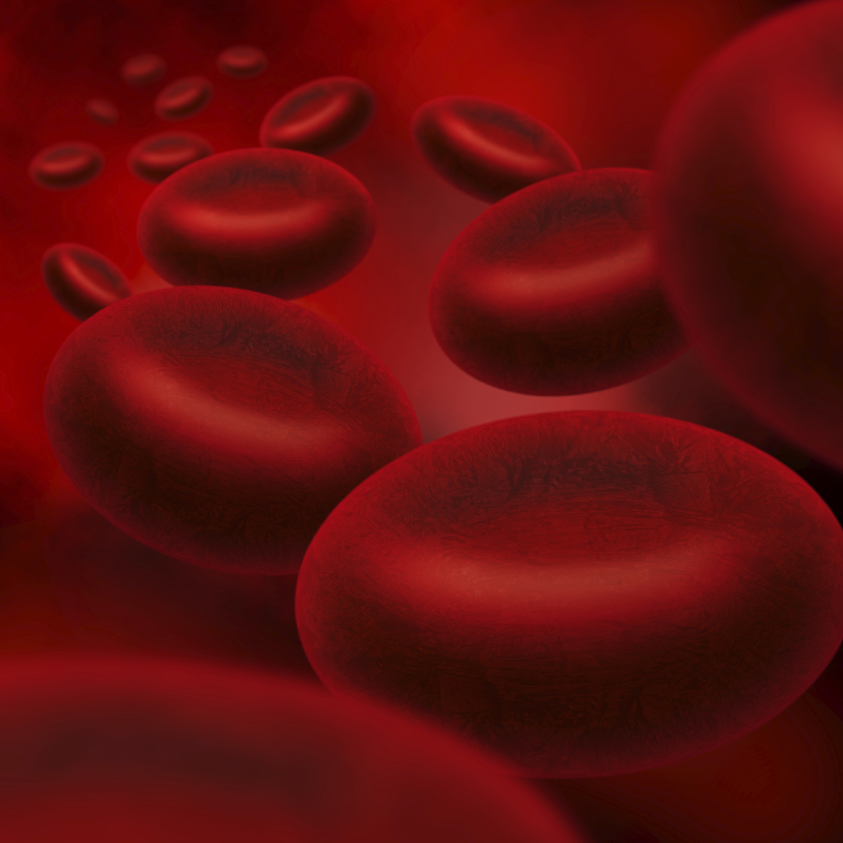 What is a hematology profile?