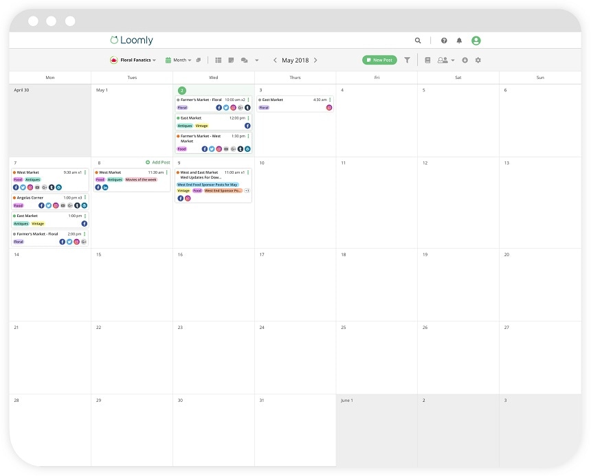 loomly screenshot 2