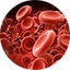 Hematology logo