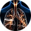 呼吸道疾病（呼吸系统疾病）