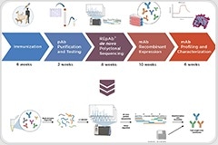 Accelerating Antibody Discovery with Polyclonal Antibody Sequencing