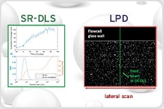 Inline Detection of Aggregates in Nanoparticle Suspensions
