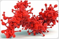 The role of lipoproteins in inflammation response