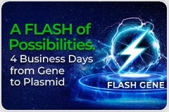 Accelerate Genetic Research with 4-Day Gene Synthesis