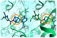 Predict Binding Affinities with Greater Accuracy: Free FEP Webinar