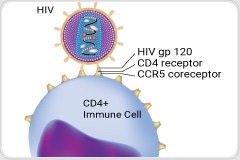 Non-Viral Cell Engineering Technology for Clinical Development