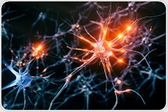 Can Psychedelics Treat Mental Health Disorders?