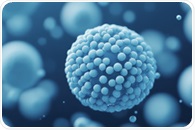 Real-Time Spectroscopy in Pharmaceutical Manufacturing