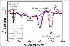 Unlocking the analysis of proteins by FTIR spectroscopy