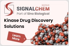 Kinase Drug Discovery Solutions