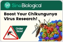 Chikungunya Virus (CHIKV) Research Tools