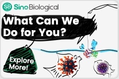 Innovative Solutions for Viral Infectious Disease Research