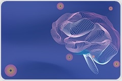A Spotlight on Neurological Biomarkers