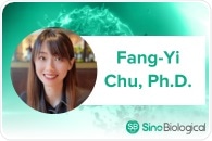 Transmembrane Proteins and Cutting-edge Production Platforms