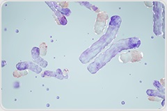 Improving Antibody Sample Preparation Workflows