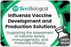 Influenza vaccine development and production solutions