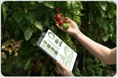eBook - Spectroscopy in Precision Agriculture