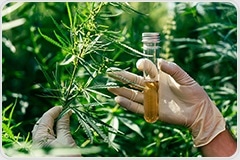 Pittcon Highlights: Cannabis & Psychedelics