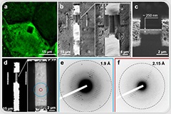 Cryo-FIB Enabling Intracellular Crystal Electron Diffraction Workflow