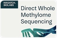 Unlock the Power of Epigenetics with direct Whole Methylome Sequencing!