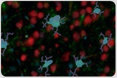 NeuroCOVID-19: SARS-CoV-2 Disrupts Astrocyte Homeostatic Functions