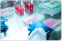 Anti-Payload Antibodies & Panels for ADC PK