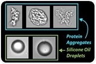 Aligning Particle Characterization with USP Guidance