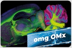 Dive into the future of spatial biology