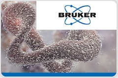 [Free Webinar] Revealing Proteome Diversity with timsTOF: From Single-Cell Heterogeneity to Non-Canonical Biology