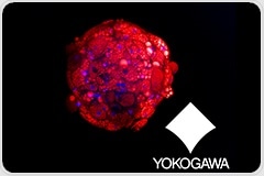 Accelerate Your 3D Biology and Phenotypic Screening