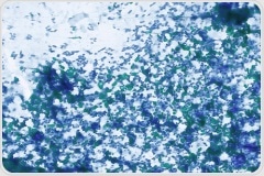 Overcome analytical challenges in bile acid research