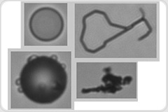 Silicone Droplets or Air Bubbles in Biologics?