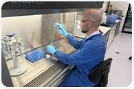 Accelerating cell and gene therapy application testing