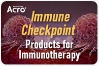 Targeting Checkpoint Proteins on NK Cells
