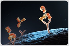 Move Antibody Design from Concept to Candidate