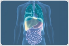 Enhancing Relevance: Organoids to Organ-on-a-chip