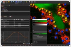 Advanced Image Analysis Unlocks Immune Cell Interactions