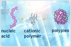 How can you improve your PEI-based transient transfection process?