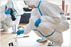 Beyond LIMS: Informatics for the Full Forensic Life Cycle
