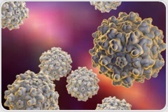 Experience Empty-Full Ratio Analysis with Ease and Precision