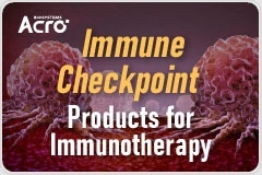 Targeting Checkpoint Proteins on NK Cells: Enhancing Immunotherapy Strategies