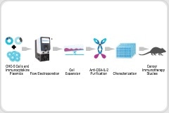 Exciting approach to treating cancer with immunocytokine