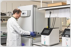 Cross-species liver-on-a-chip versus 2D performance comparison study