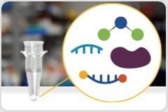 White Paper: Evaluation of a Transition From a Liquid to Lyophilized PCR Assay