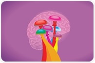 [Free App Note] Oasis or Sand Dune? Isolation of Psychedelic Compounds (PRP-1)
