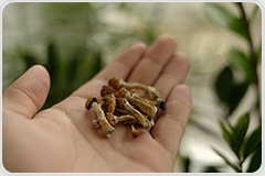 Synthetic Psychedelics: A Growing Public Health Concern