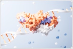 iPSC-Based Cell Therapy: High Quality Laminin Protein Supports Clinical iPSC Banking