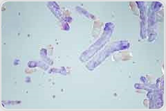 Strengthen Multiplex IHC Antibody Validation