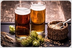 The Science Behind the Beer and Brewing Industry