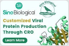 Customized Viral Protein Production Through CRO